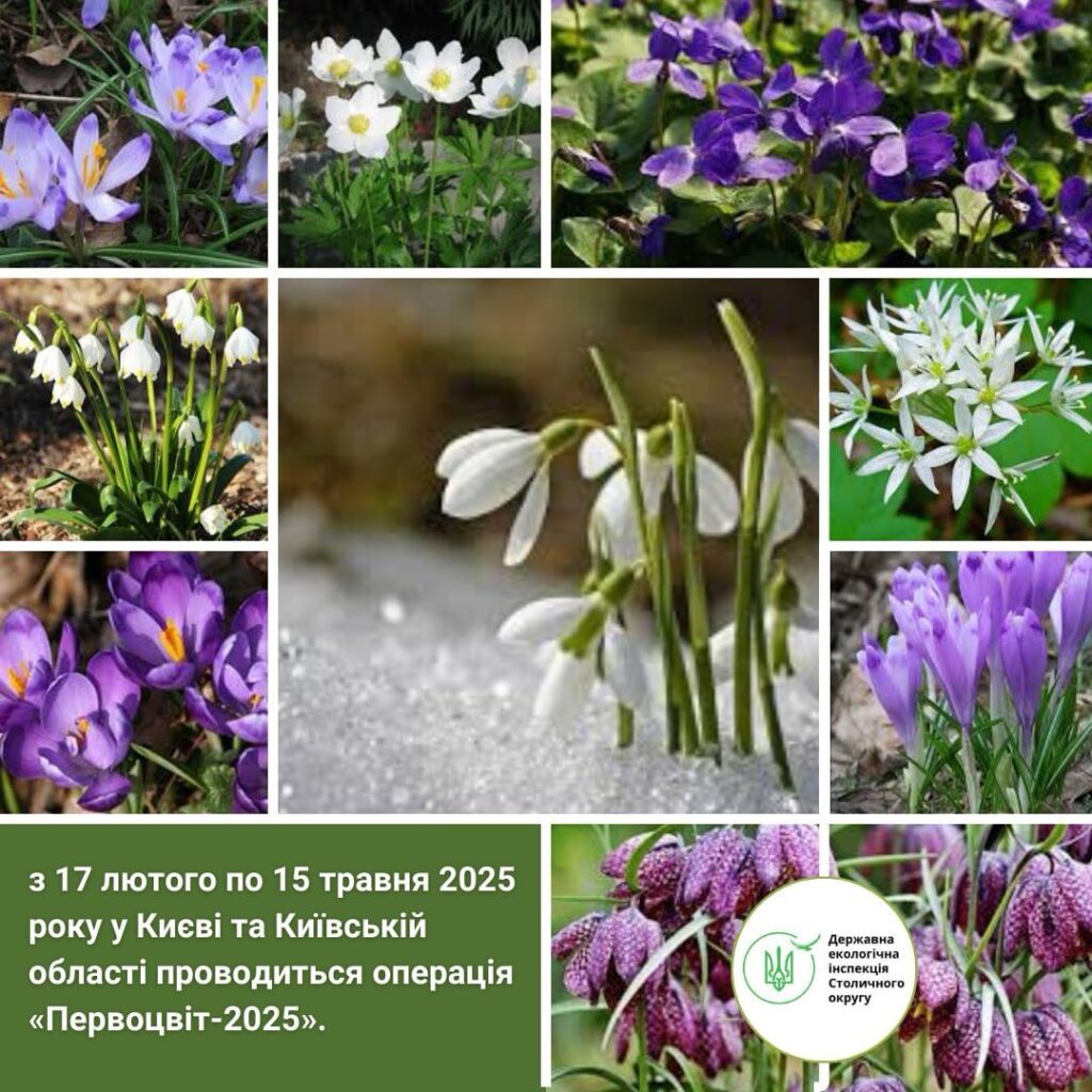 zobrazhennya_viber_2025-02-12_10-58-56-419