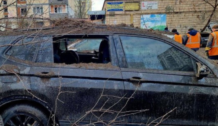 2025_02_04_48fd8dfe0fd19550