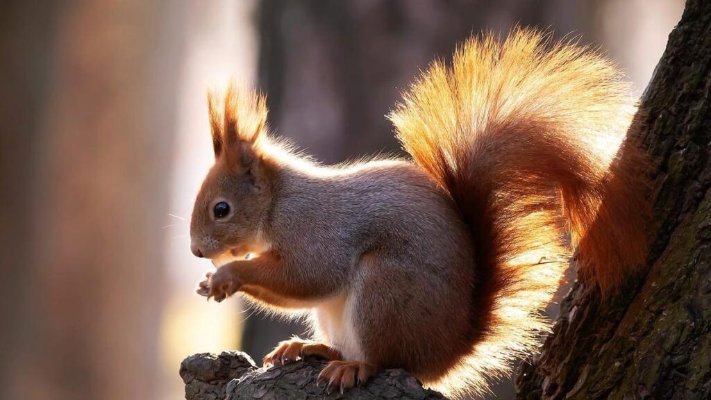 476246333_928936259408282_2811431986615636129_n