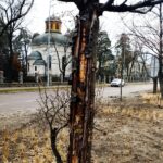 476416617_926594416309133_5083755555582017176_n