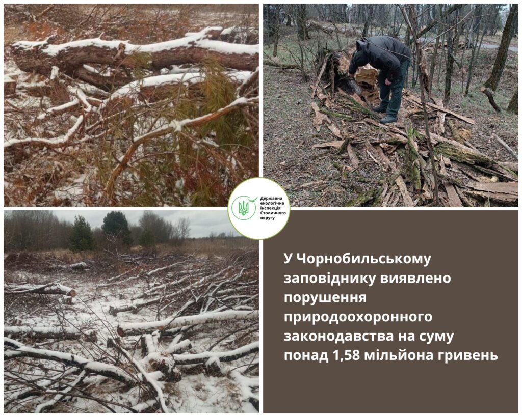 481023483_949329483972916_3125269354804699584_n