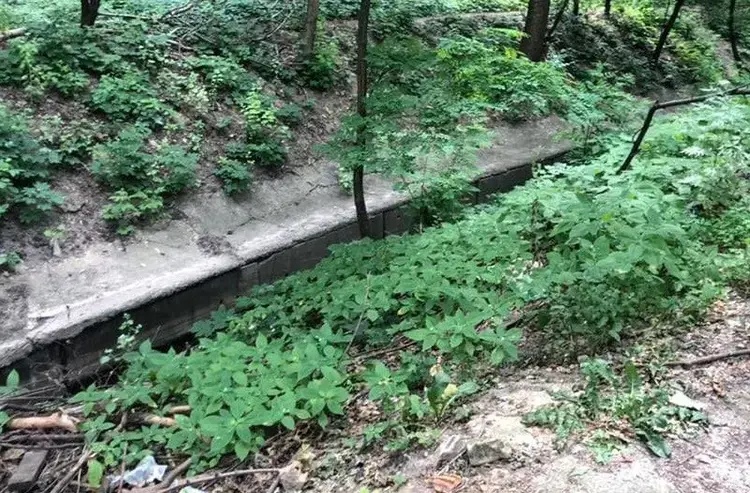 2e7xqa-8d986b5eaad5e76fa9768edf7628eef9-16