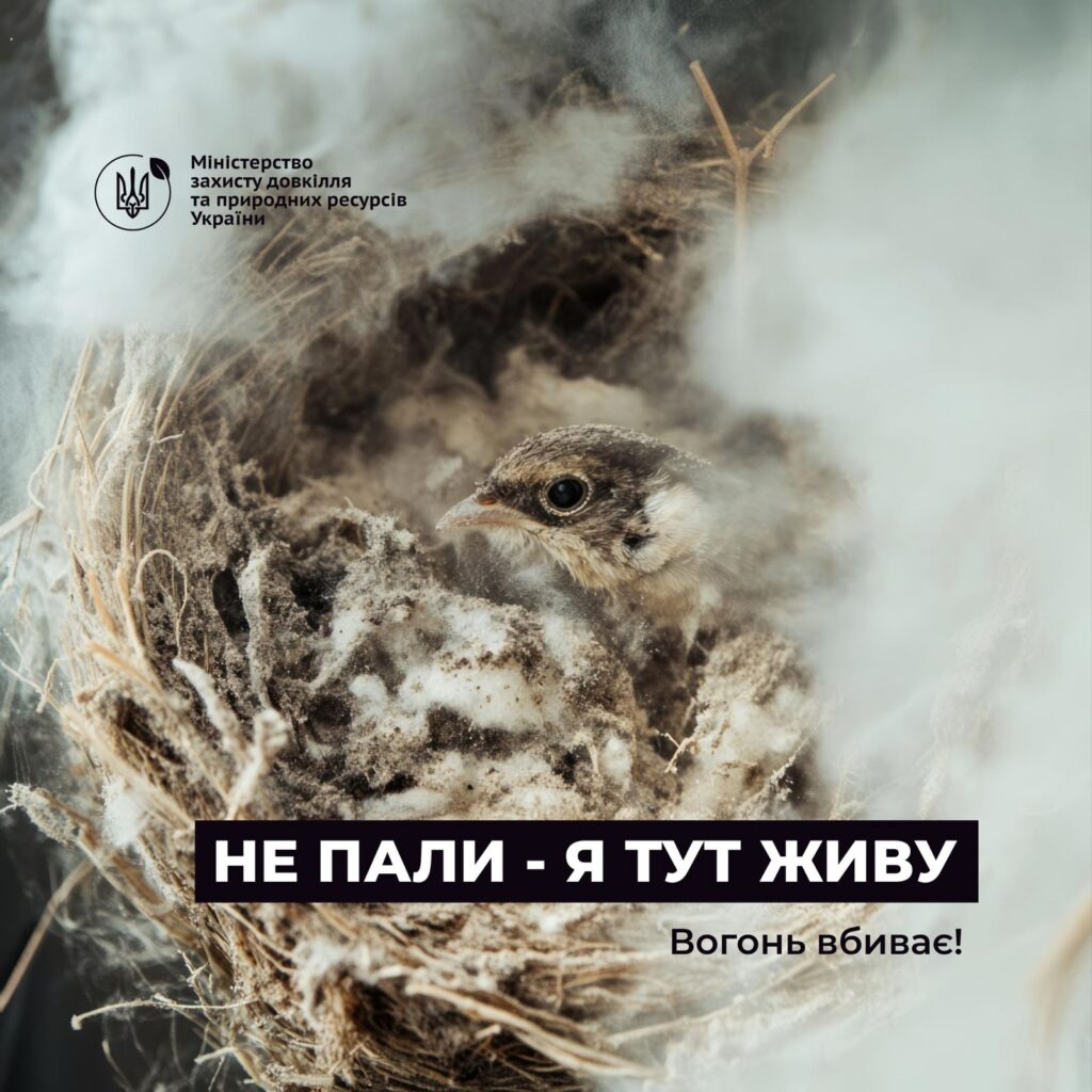 483924861_979208834314894_5260165101751053482_n