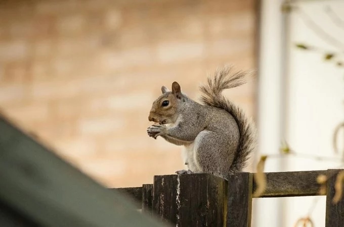 faktnqwva5clucmewtoz4w-article_opt