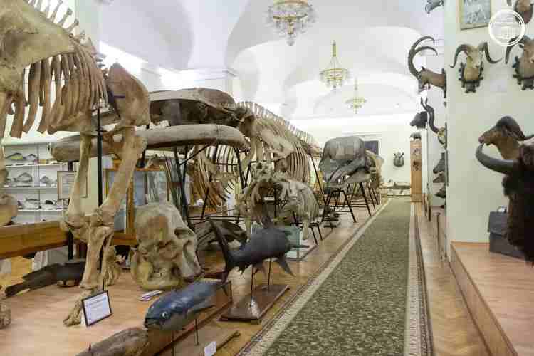 487504606_122103240302823911_3327666858722756790_n