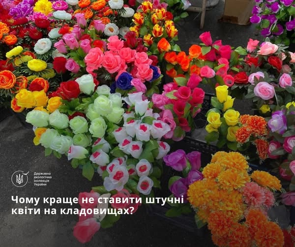 490020259_1085405506953486_3733127140014675075_n