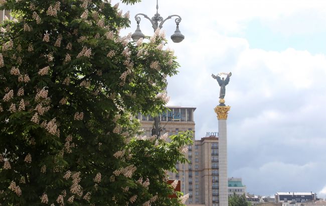 2_2c5e80bb309359fd6d5fa6a521b6c43a_650x410