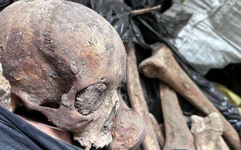 6a292fc3f7e3afa_800x500