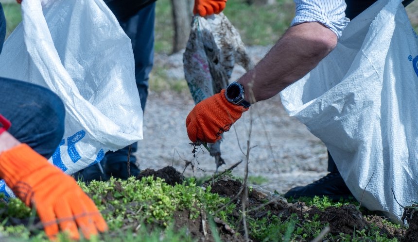 2025_06_19_2561a622a9157ed9