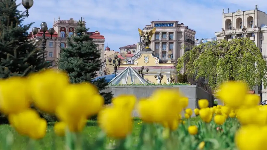 68012d859d118-imgbig_28_913