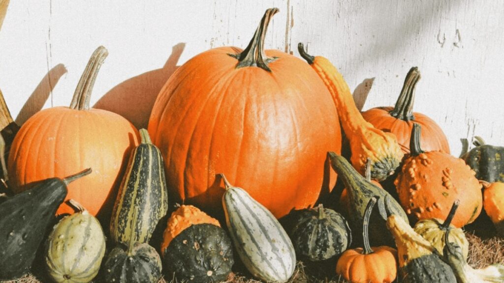 Фото: Мінкульт