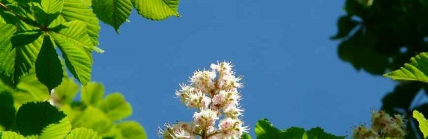 2b645c2ffc3e5901b6f72fb84dc118d3m_68eb5dcccbaf9