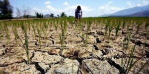 b0bdljtdwz1k4zab8xhxjightzw0r6g6uswcq4gw