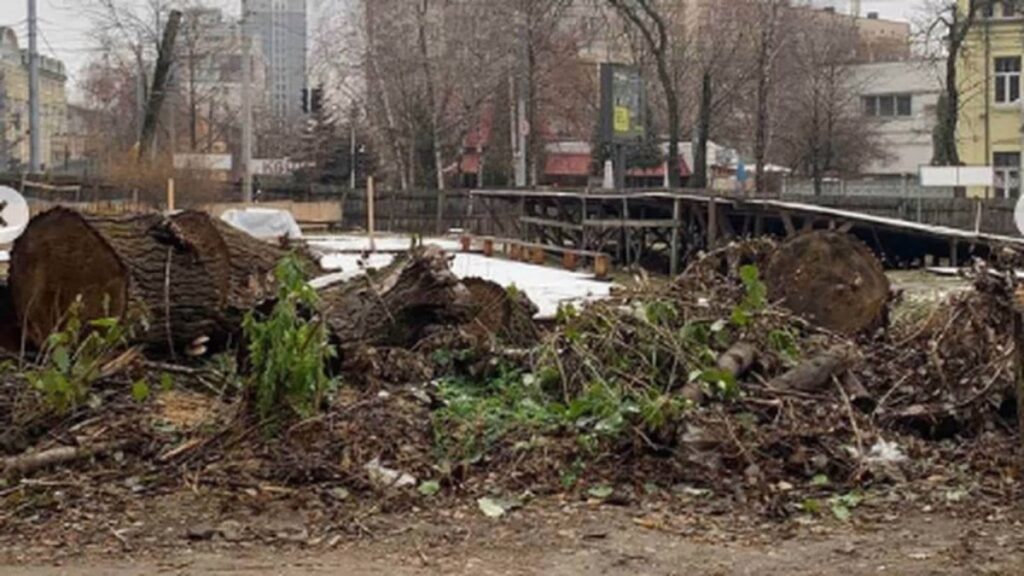 Фото Анни Бугери