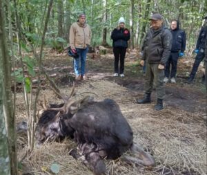 wx5nfo1cnkq369cv0z5prhhseb6oz8q6ctqsamne